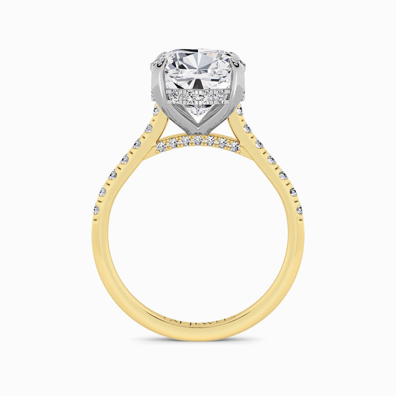 Cushion Cut Cathedral Lab Diamond Engagement Ring (1ct+)