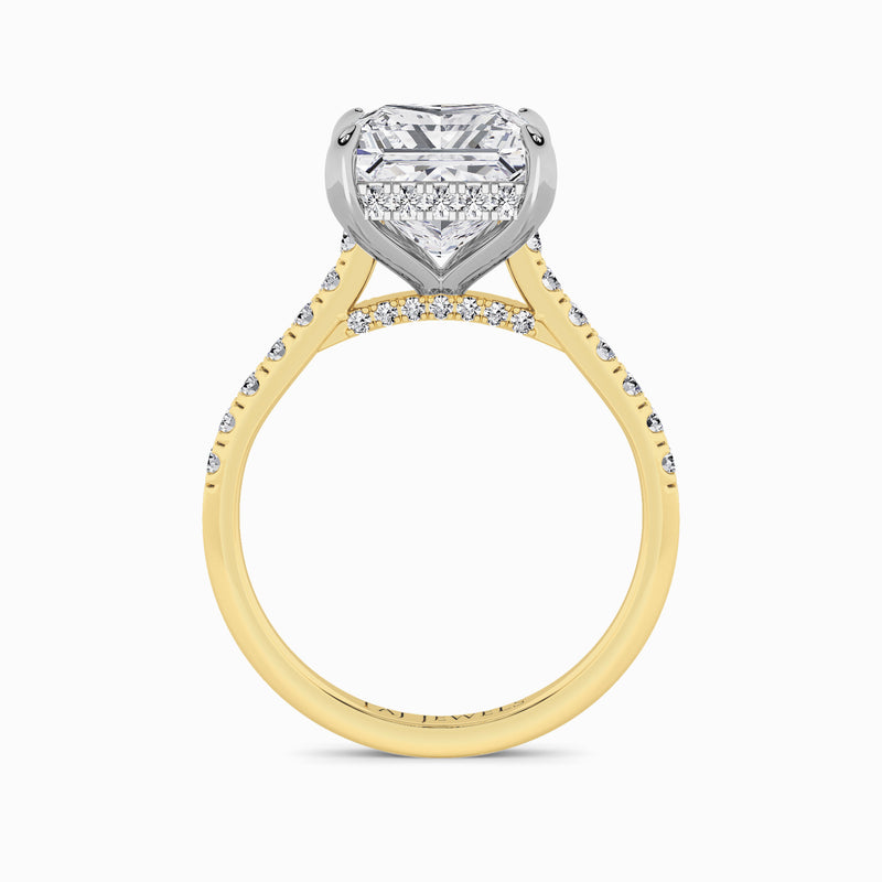 Princess Cut Cathedral Lab Diamond Engagement Ring (1ct+)