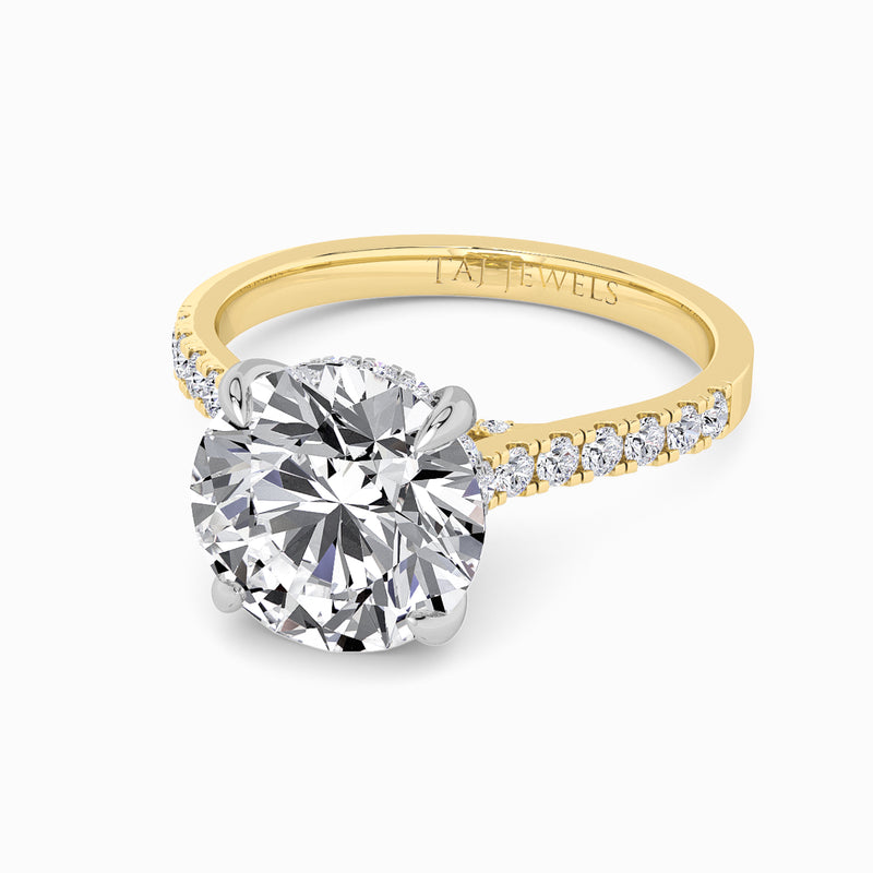 Round Brilliant Cut Cathedral Lab Diamond Engagement Ring (1ct+)