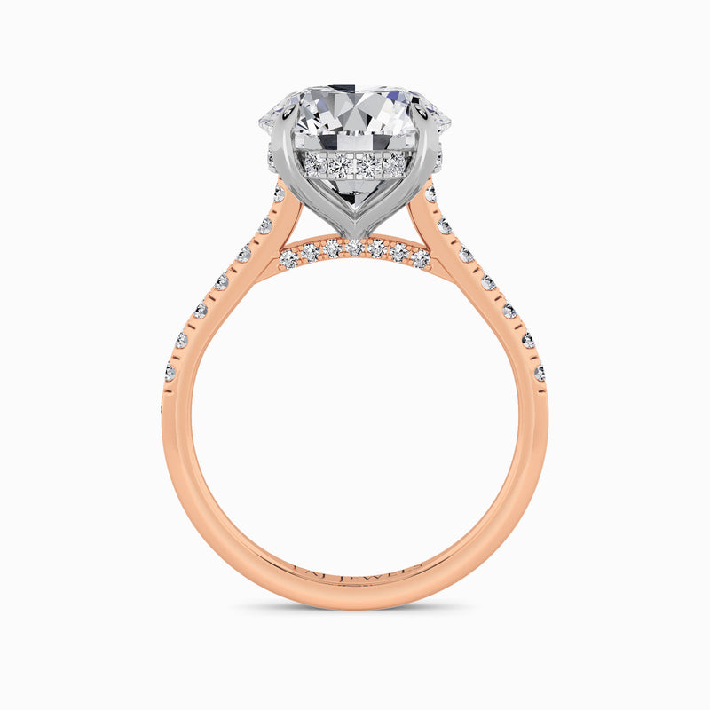 Round Brilliant Cut Cathedral Lab Diamond Engagement Ring (1ct+)