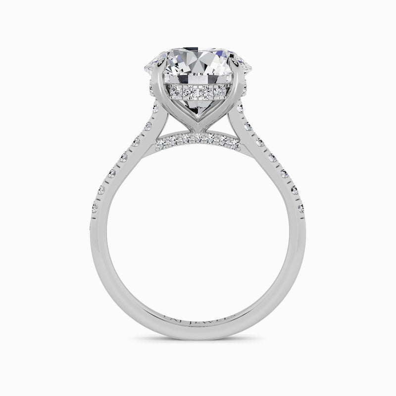 Round Brilliant Cut Cathedral Lab Diamond Engagement Ring (1ct+)