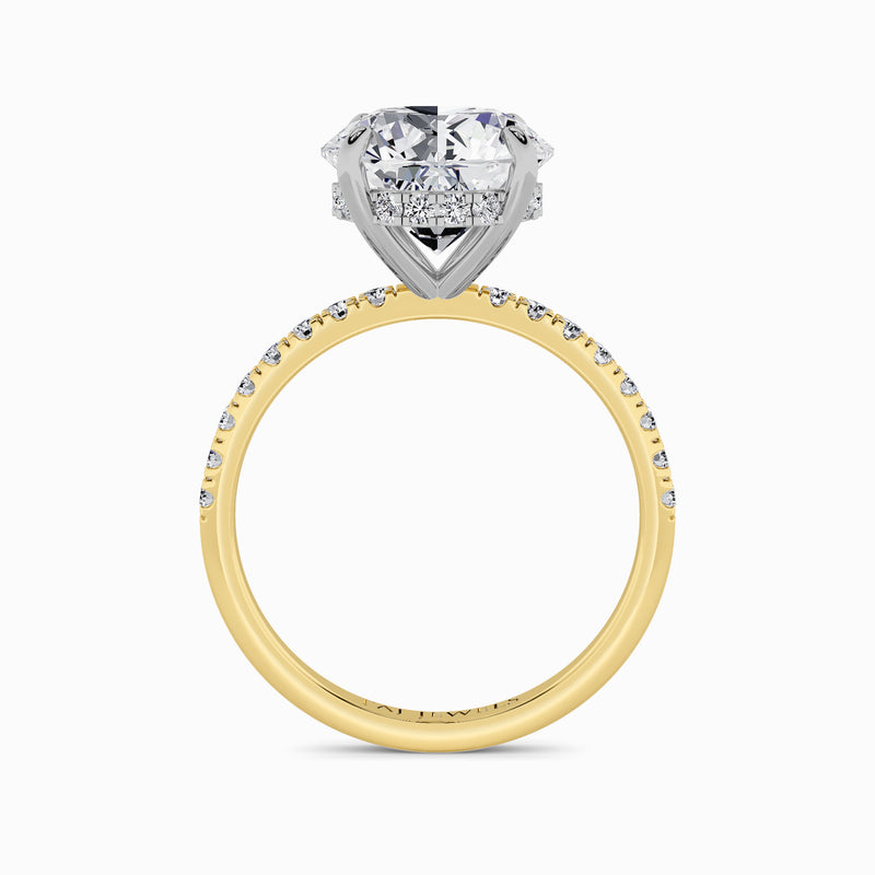 Round Brilliant Cut Shoulder Set Lab Diamond Engagement Ring (Floating Head) (1ct+)