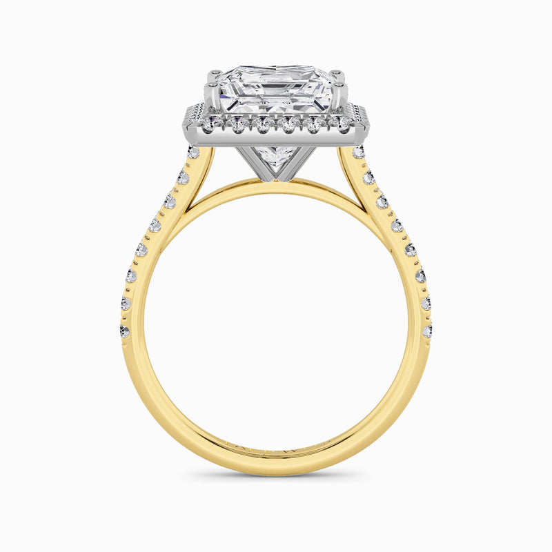 Princess Cut Lab Diamond Halo Engagement Ring (Cathedral) (0.50ct+)