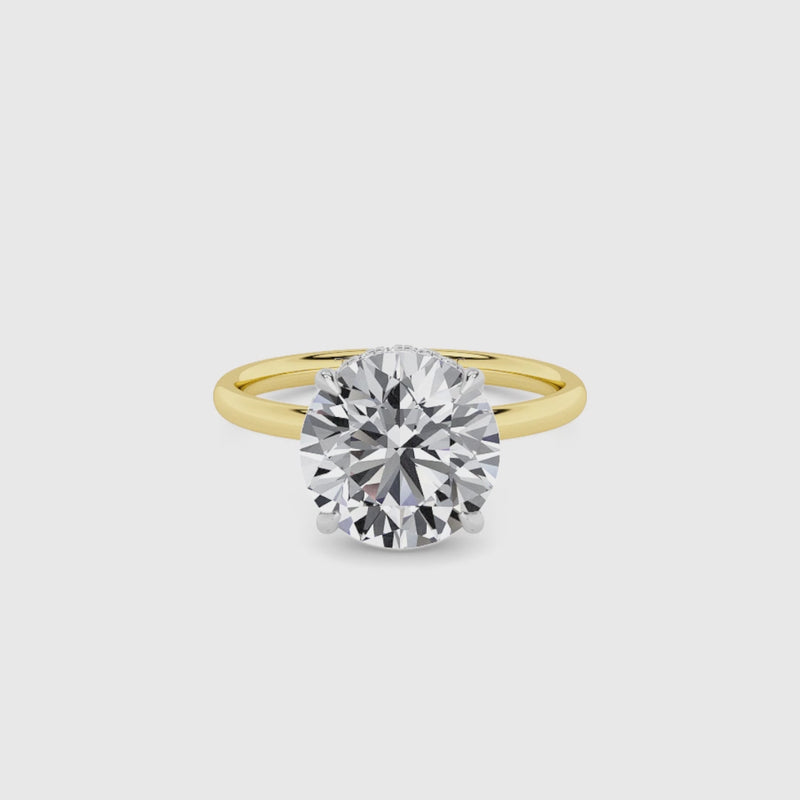 Round Brilliant Cut Solitaire Plain Band Lab Diamond Engagement Ring (Floating Head) (1ct+)